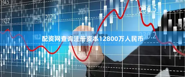 配资网查询注册资本12800万人民币