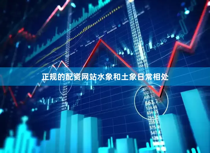 正规的配资网站水象和土象日常相处