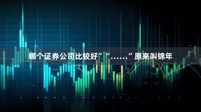 哪个证券公司比较好”“……”原来叫锦年