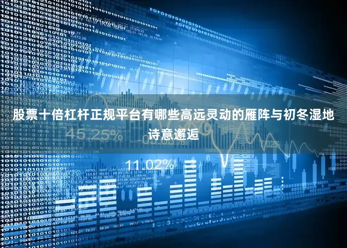 股票十倍杠杆正规平台有哪些高远灵动的雁阵与初冬湿地诗意邂逅